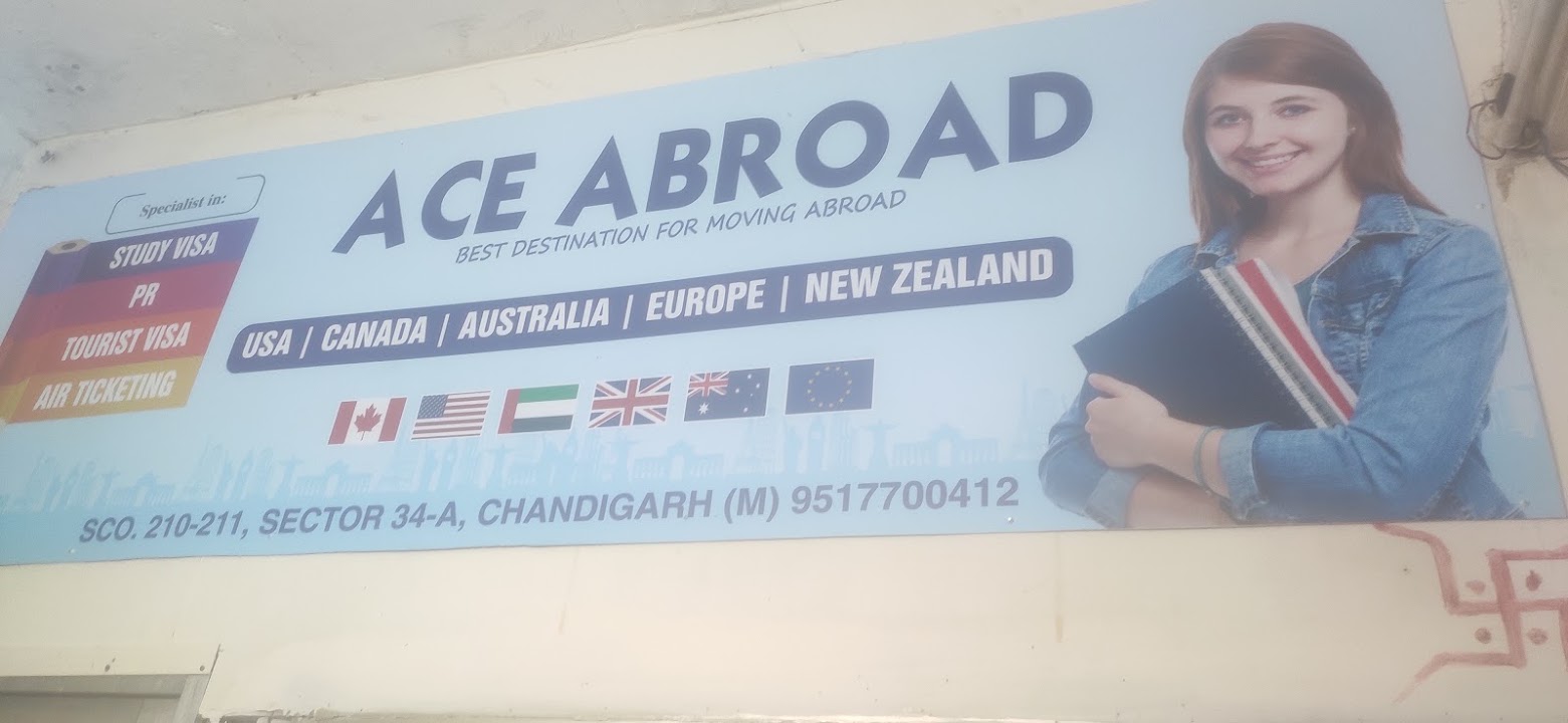 Ace Abroad photo 2