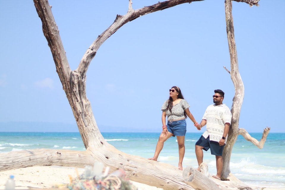 Ambar Holidays photo 2
