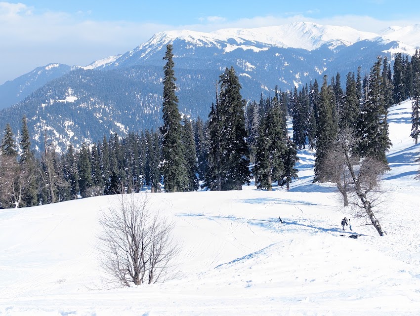 Asmi Tours photo 2