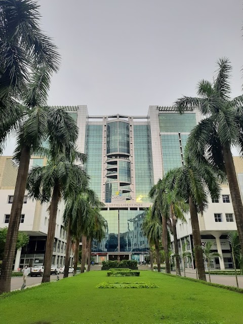 Aussie Pathways | Immigration & Education Consultants in Kolkata office