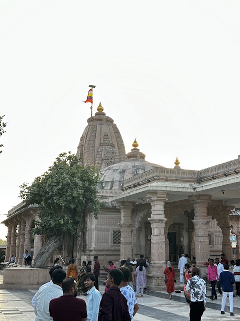 Balaji Tours & Travels photo 3