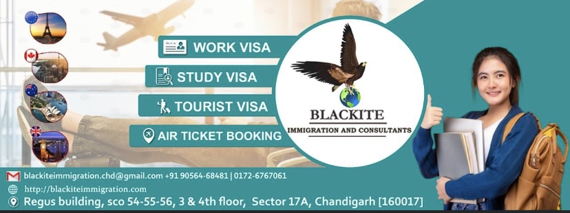 Blackite Immigration & Consultants photo 2