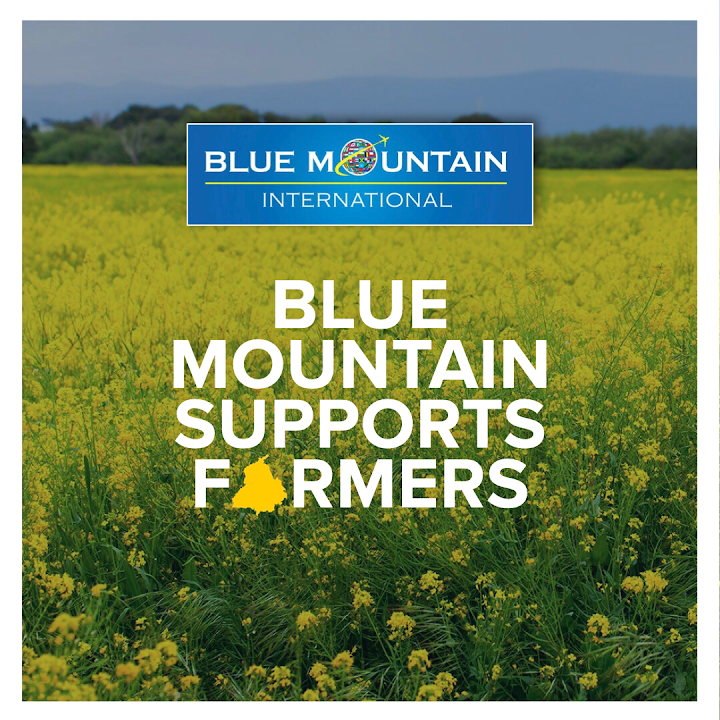 Blue Mountain International - Study Abroad Consultants in Chandigarh photo 2