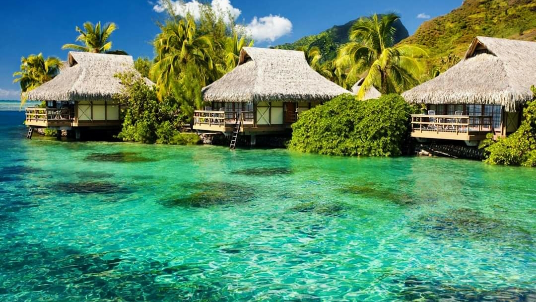 DREAM WORLD TOURISM office
