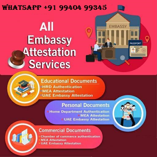 DUBAI VISA SERVICE photo 2