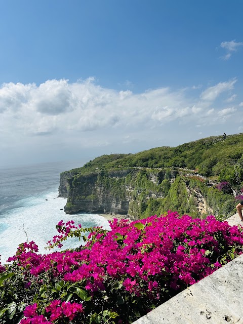 EAO TOURS photo 3