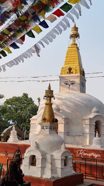 Easy Visa Tours photo 2