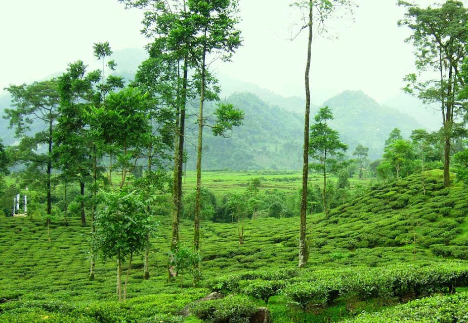 Flying Squirrel Holidays - Best Travel company in Kolkata | Visa | International & Domestic Tours office