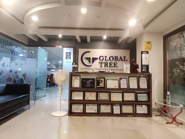 Global Tree Pvt Ltd photo 2