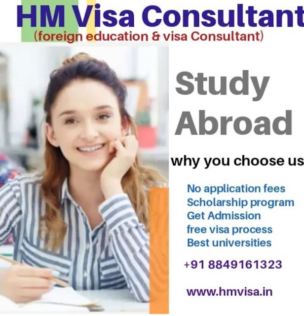 HM Visa Consultant photo 3