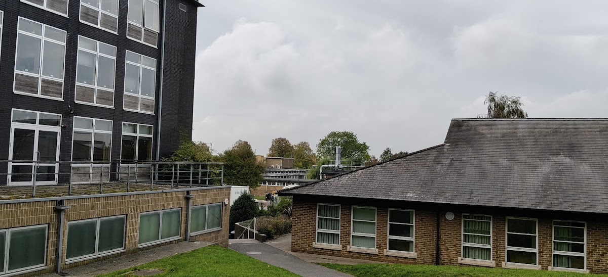 Immense Immigration and Education Services office