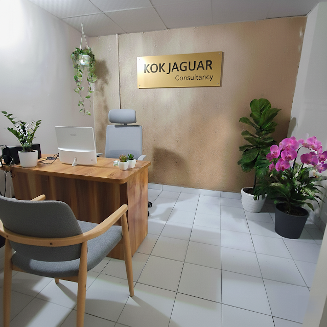 Kokjaguar Consultancy office