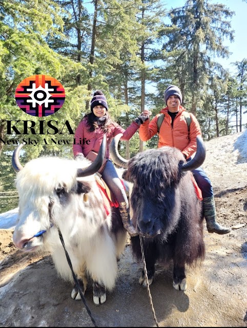 KRISA Travels photo 2
