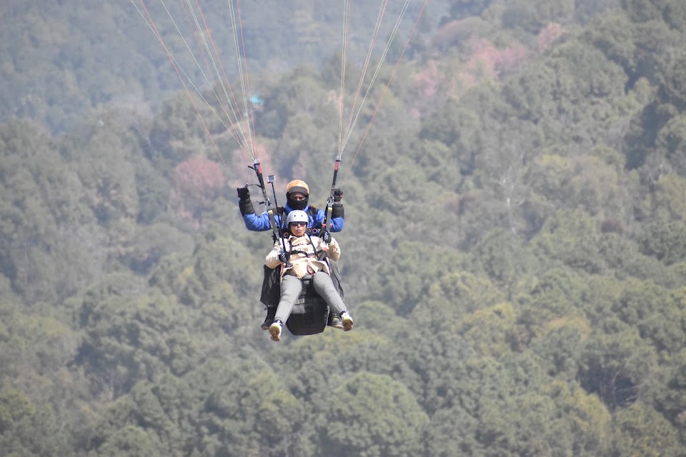 Love Passion Travel India photo 3