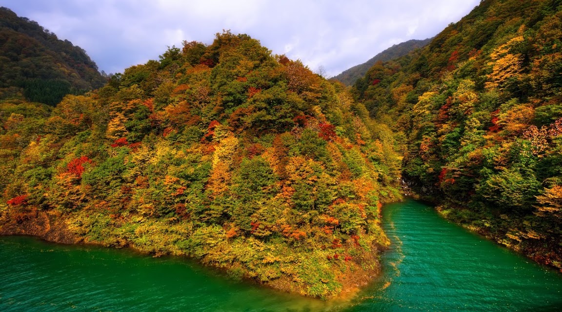 M T Travel photo 3