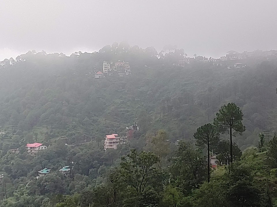 Malviya Tours and Travels photo 2