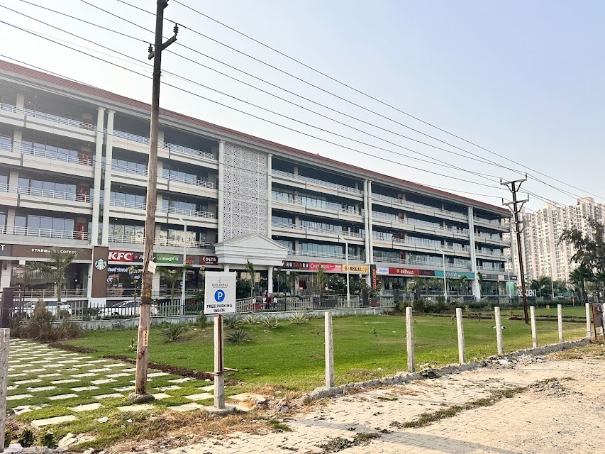 Meraki Overseas Consultants photo 3