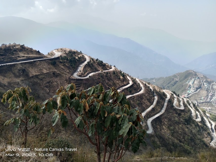 Nature Canvas Travel photo 3