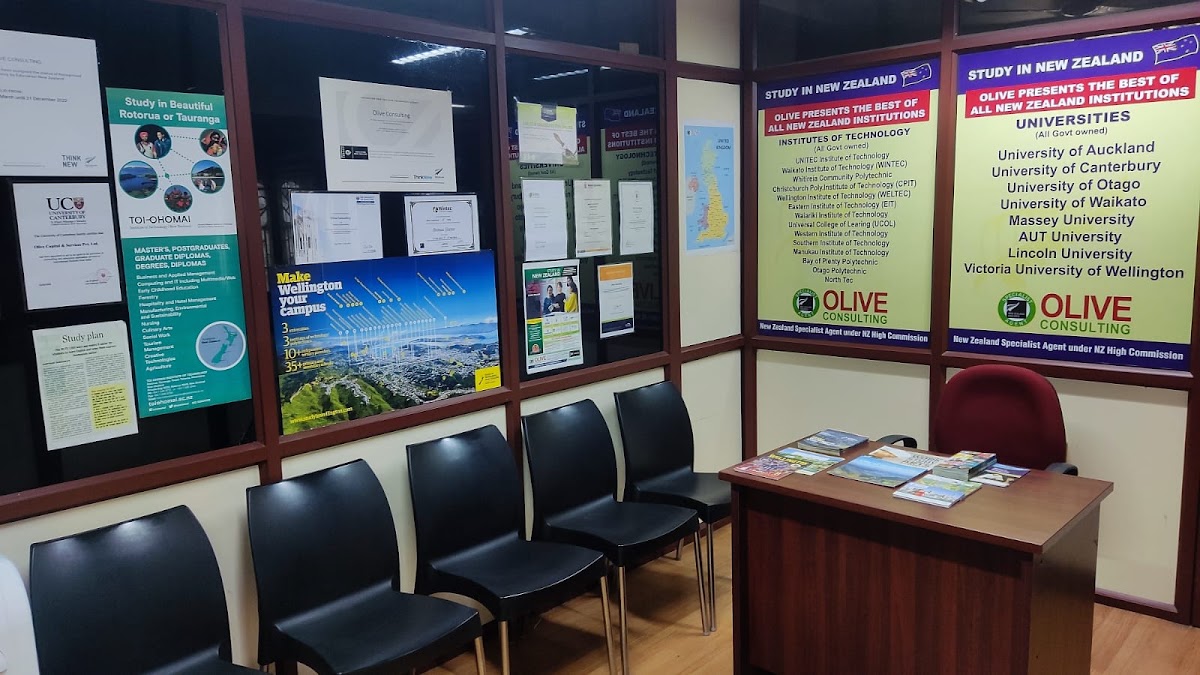 Olive Consulting office
