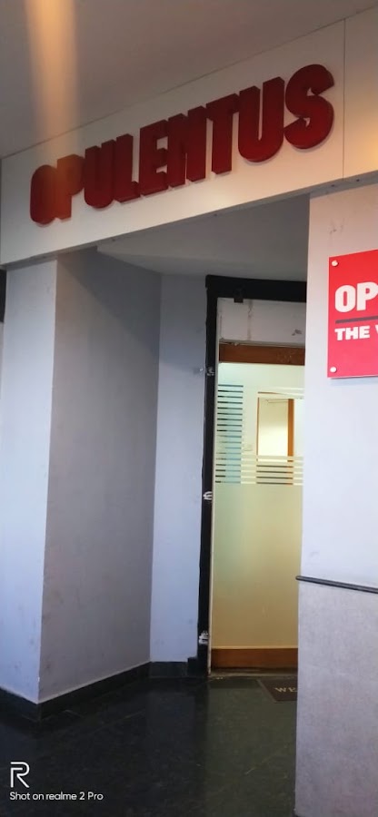 Opulentus Overseas Careers pvt ltd photo 2