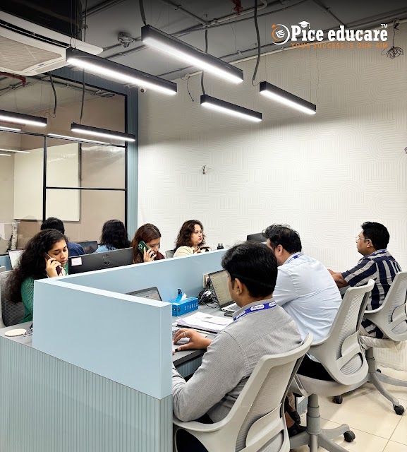 Pice Educare Private Limited office