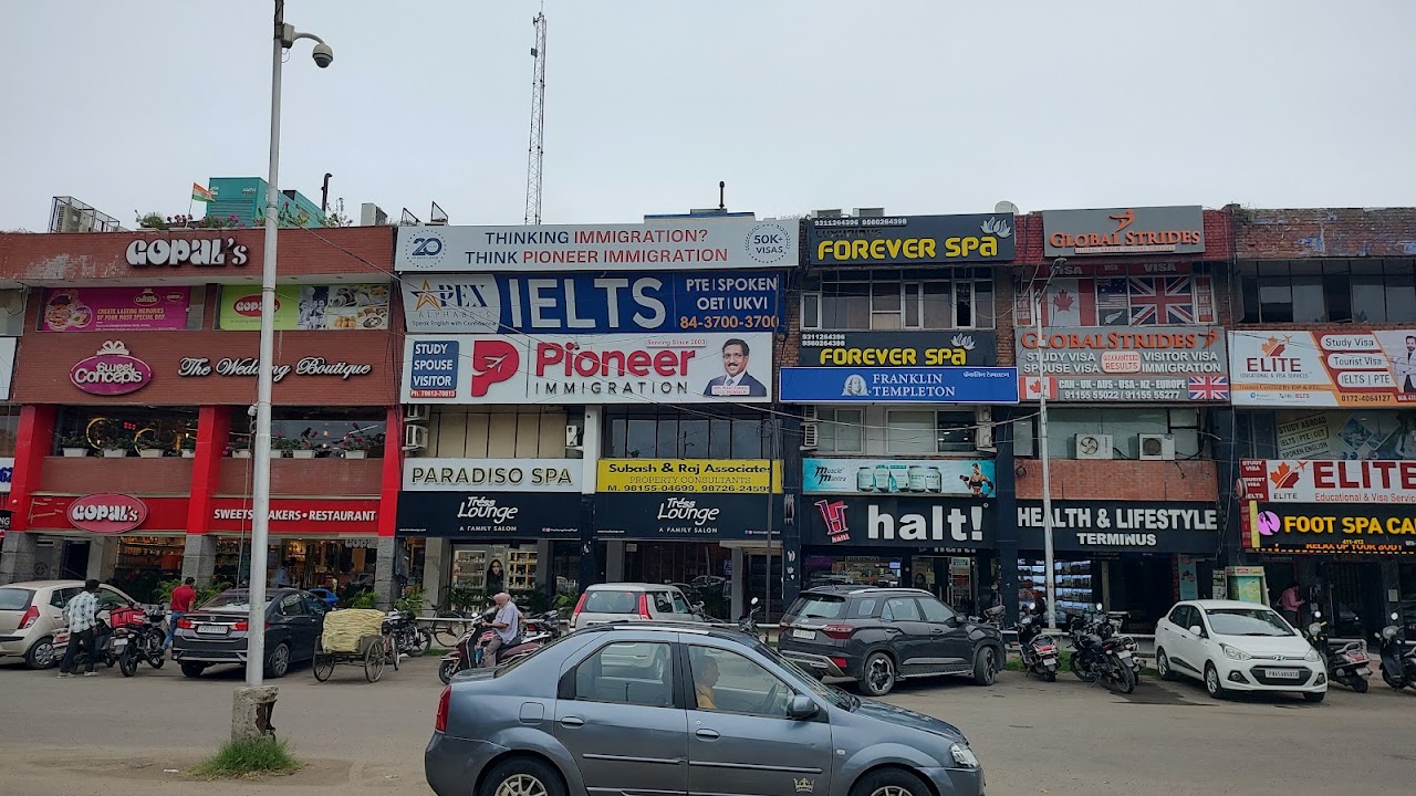 Pioneer Immigration & Education Consultancy Pvt. Ltd. photo 2