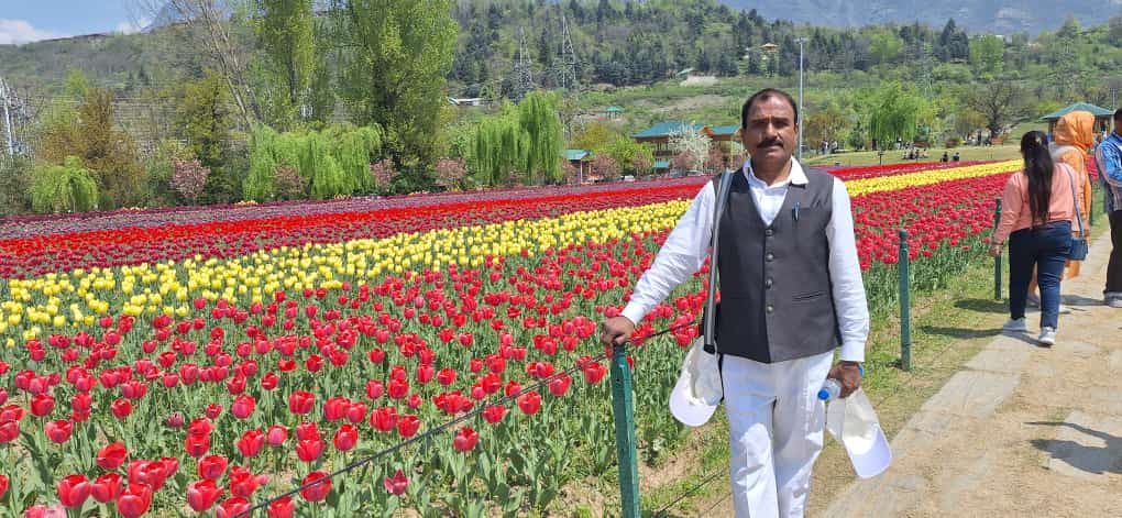 Sai Tours photo 2