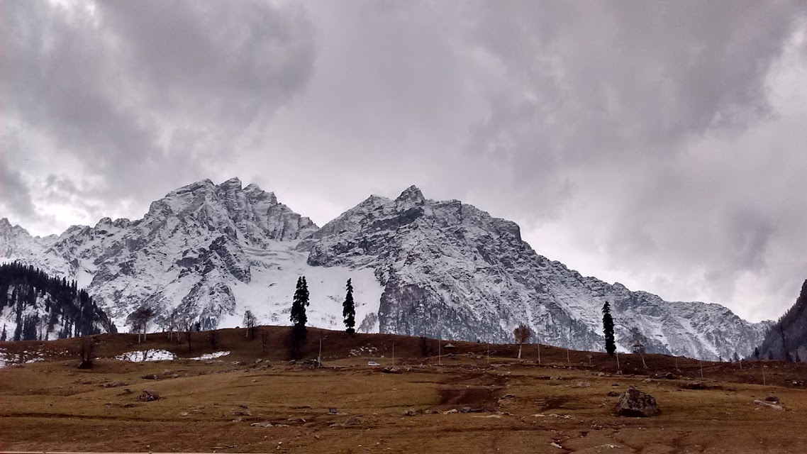 Samrat Travels photo 3