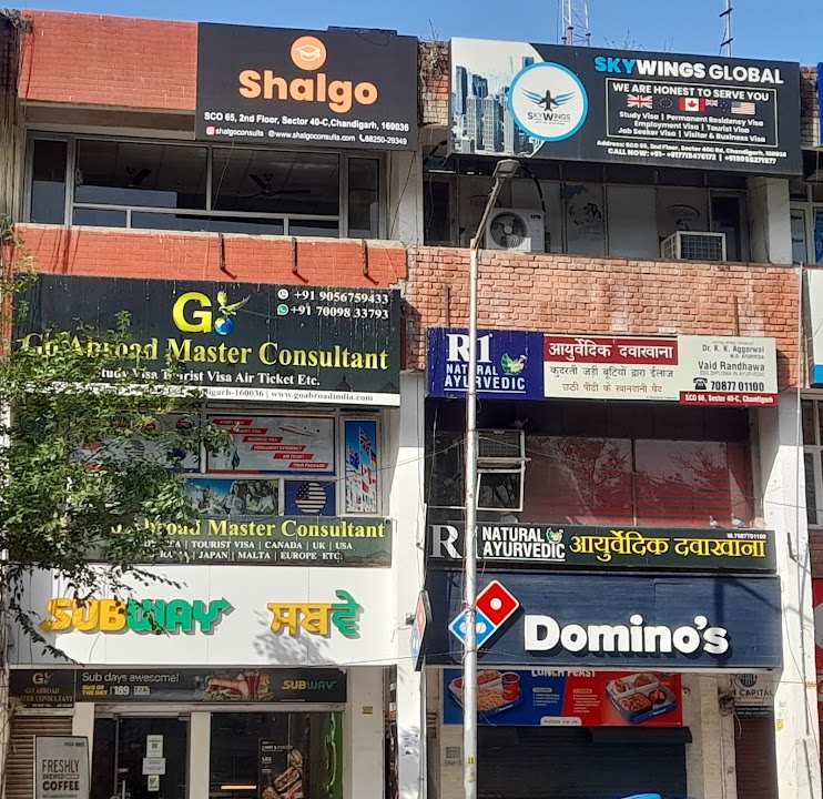 Shalgo (Study Abroad) Chandigarh office