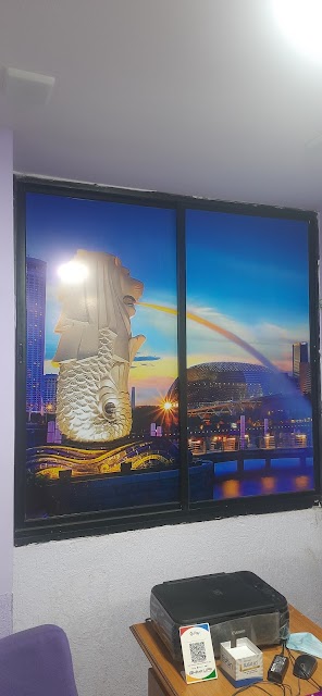 SHREE VISA ADVISOR office