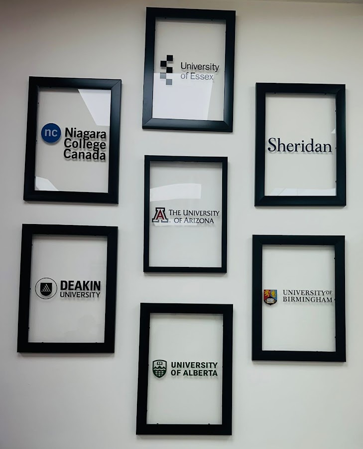 Silver Fern Education Consultants Delhi photo 3