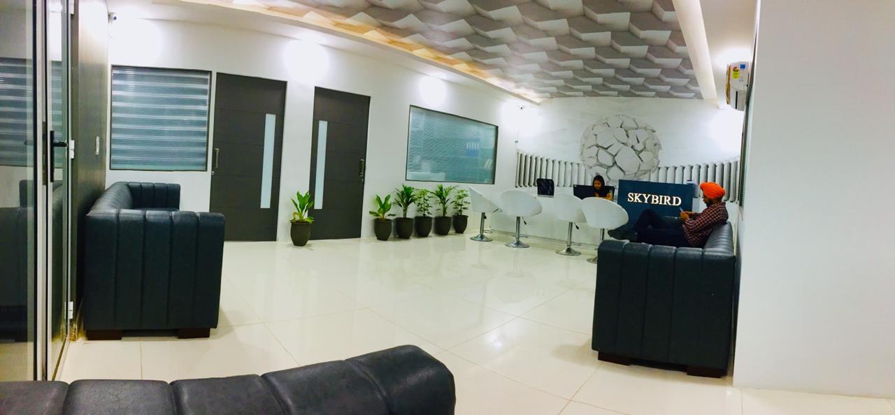 SKYBIRD INTERNATIONAL photo 3