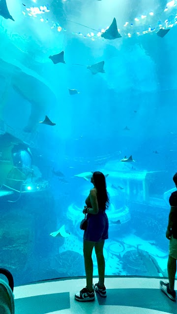 Soul Voyage photo 3