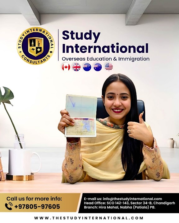 Study International Consultants photo 3