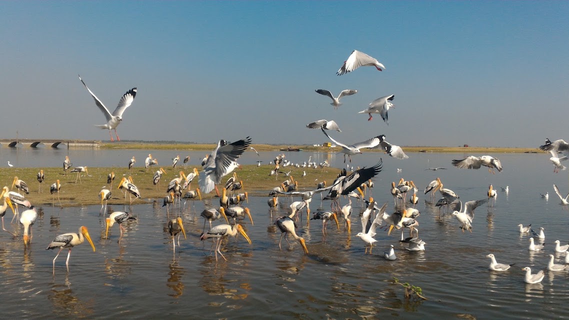 SURABHI TRAVELS office