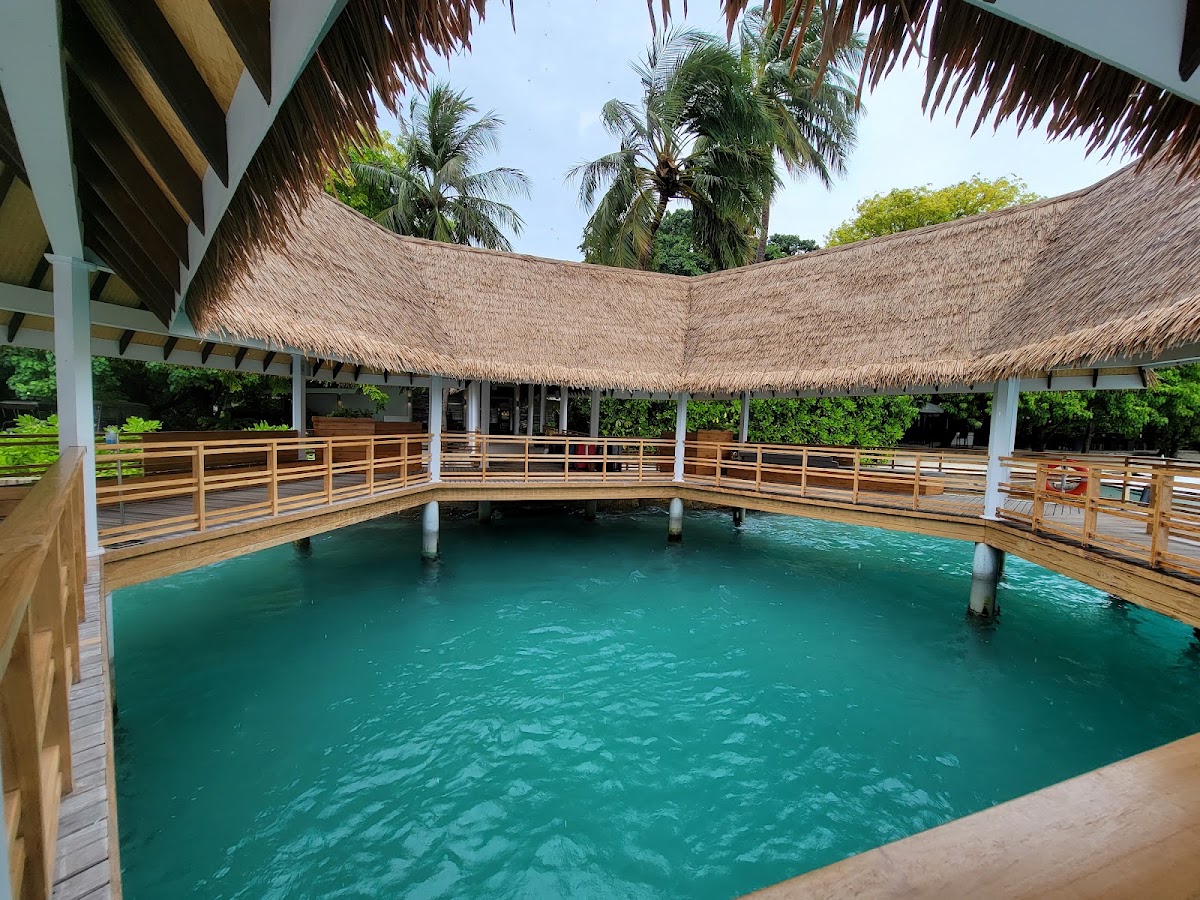 TravelBerries Holidays & Visas Pvt Ltd photo 3