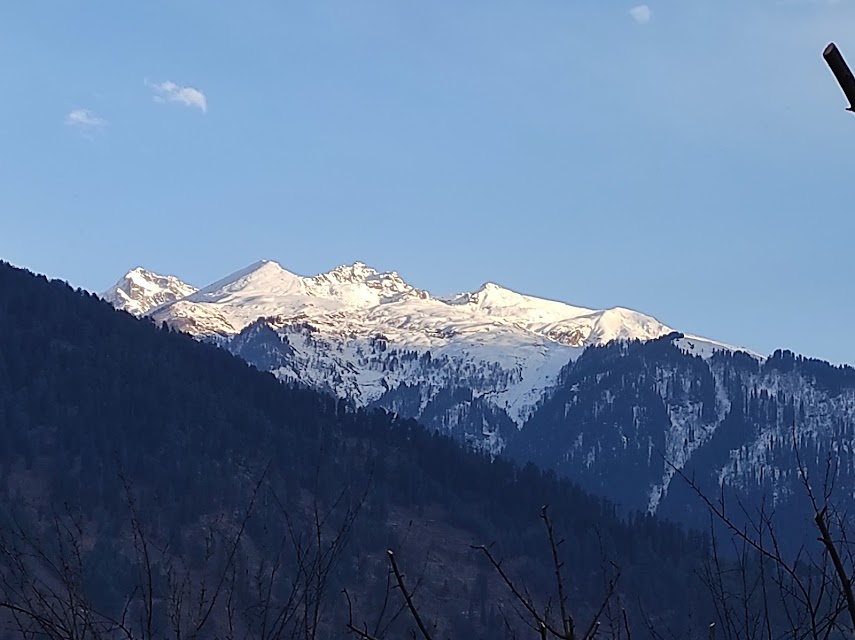 travelwholeindia photo 3