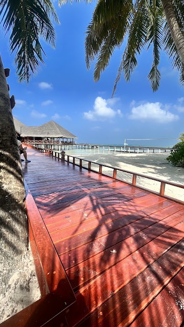 Travvelholik photo 2