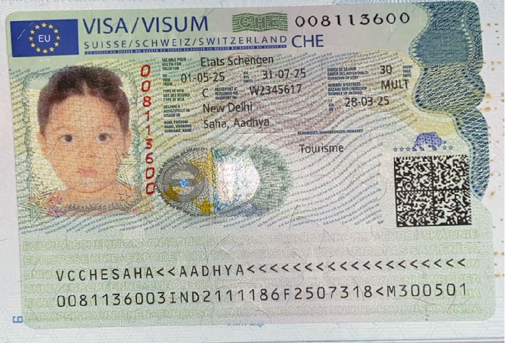 Visa PING photo 3