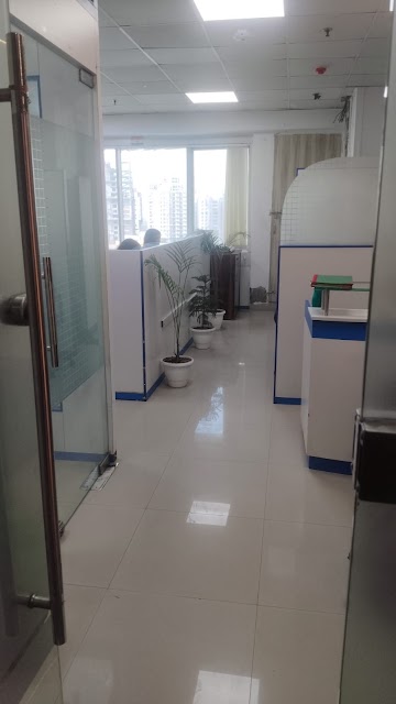 VisaBuz services photo 2