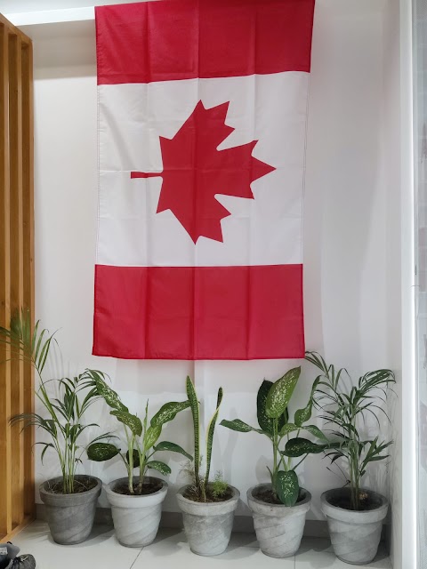 VISAEURO ABROAD CONSULTANCY office