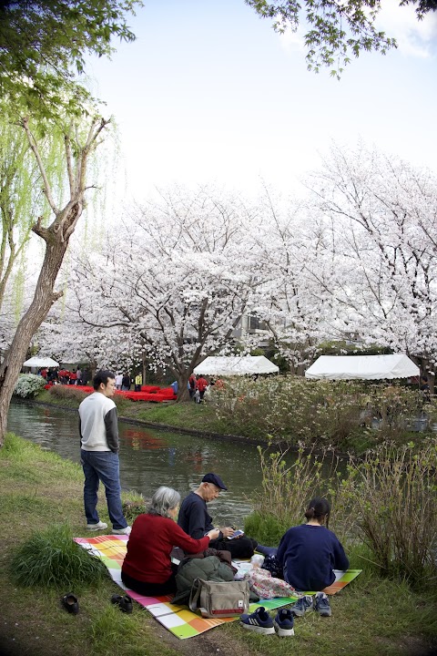 wovoyage photo 2