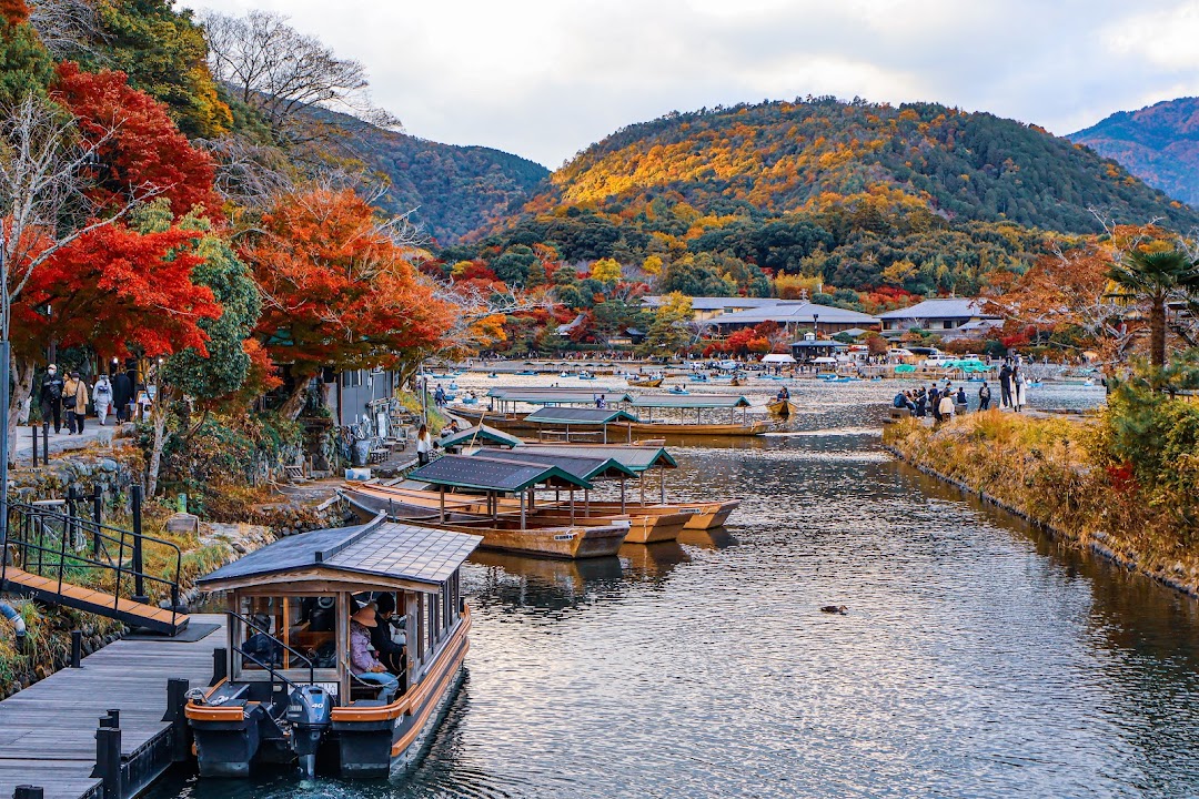 wovoyage photo 3